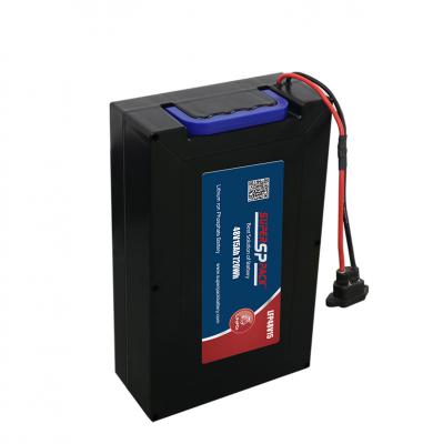  Lithium Battery Pack for E-Motorcycle/Bicycle Batteries